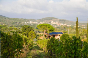  Agriturismo Colle Vento  Суверето